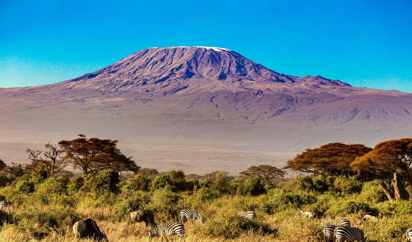 Escalar Kilimanjaro